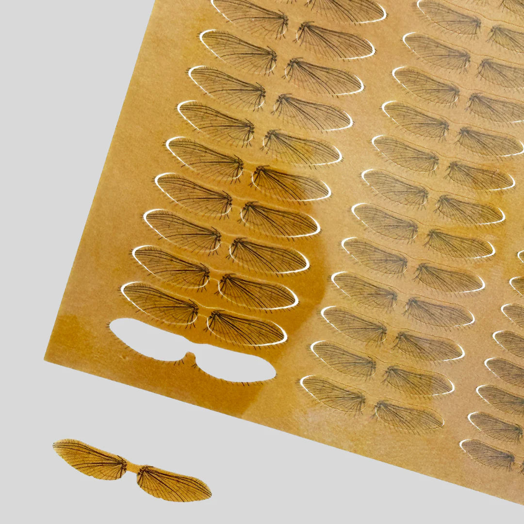 Mayfly Wings