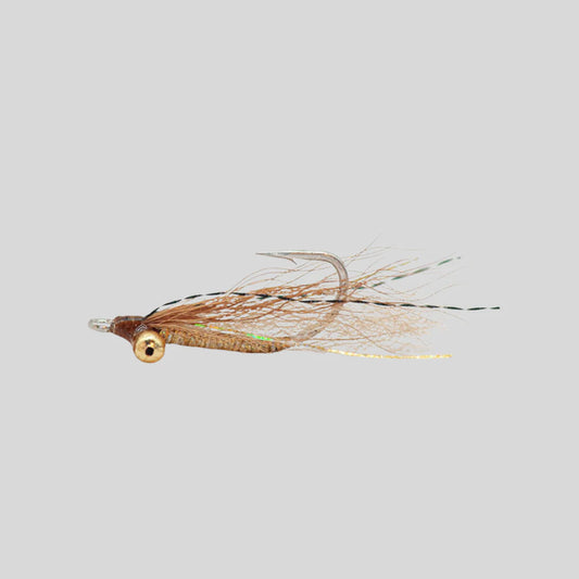 FS Golden Knight