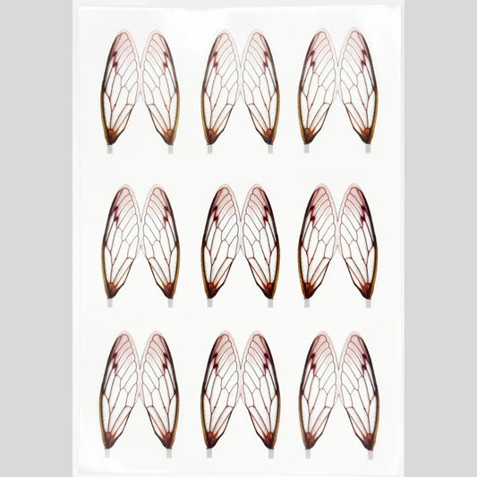 Surface Seducer® Cicada Wings