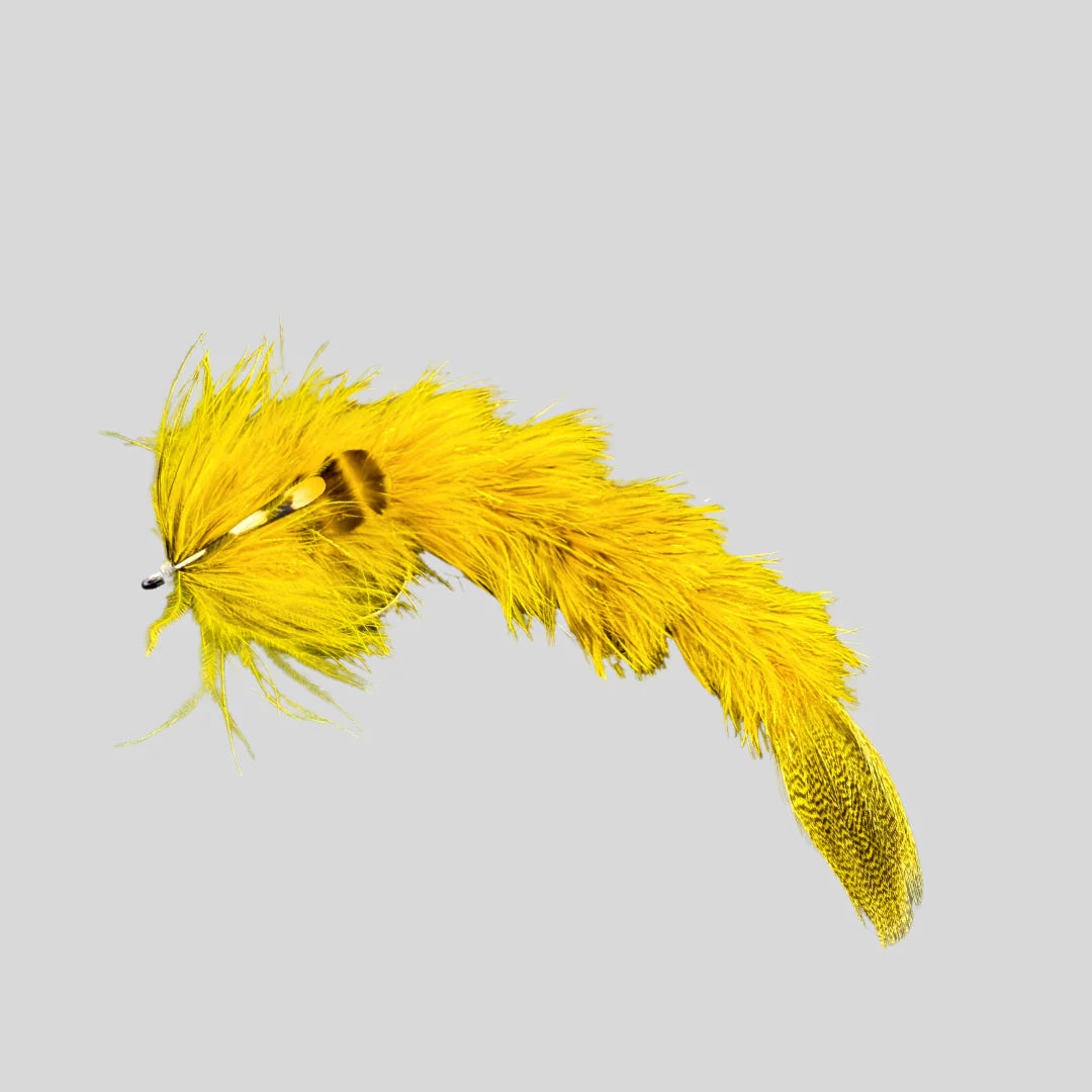 Next FeatherLite Changer