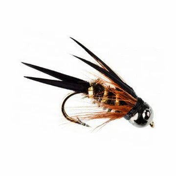 NH Heavy Metal Nymph Dozens – Limited Edition